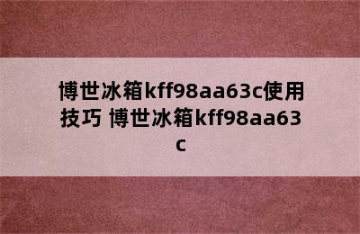 博世冰箱kff98aa63c使用技巧 博世冰箱kff98aa63c